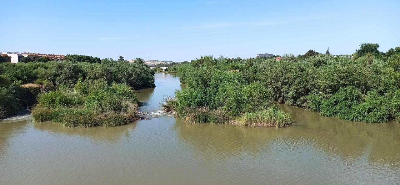 Apartmán La Pequena Taifa I Córdoba Exteriér fotografie